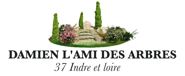 Damien l'Ami des arbres
